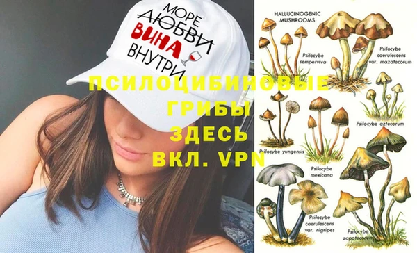 спиды Кинешма