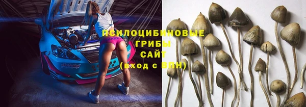 прущий лед Карталы