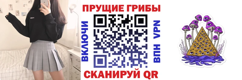 Купить закладки  Воскресенск  Галлюциногенные грибы Cubensis 